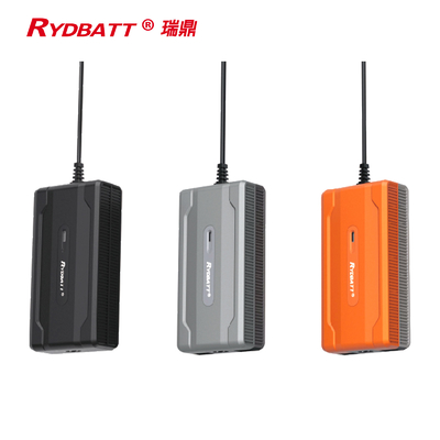 에아이크를 위한 RYDBATT Li 이온 배터리 충전기 120W 플러그인 타입
